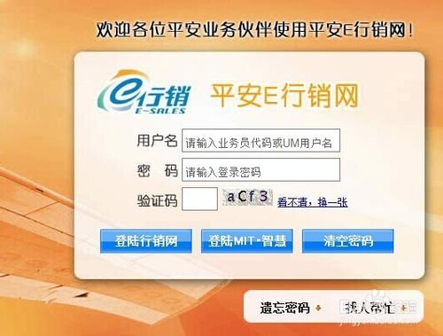 平安e行怎么登陆?