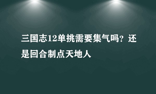 三国志12单挑需要集气吗？还是回合制点天地人