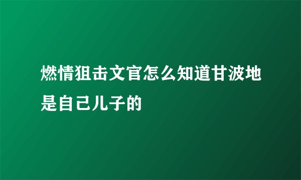 燃情狙击文官怎么知道甘波地是自己儿子的