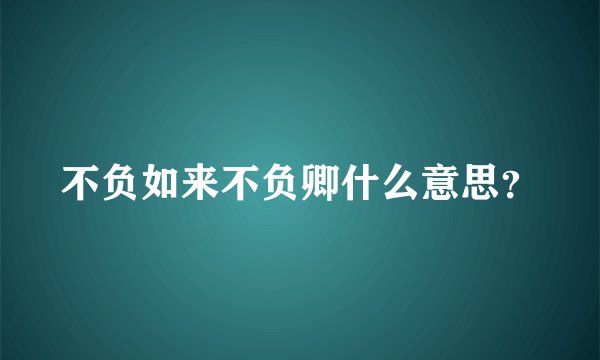 不负如来不负卿什么意思？
