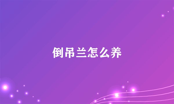 倒吊兰怎么养