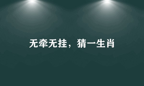 无牵无挂，猜一生肖