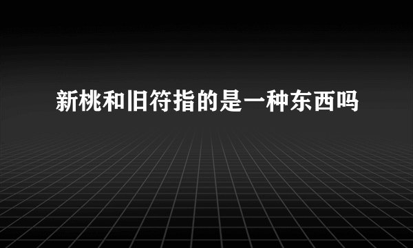 新桃和旧符指的是一种东西吗
