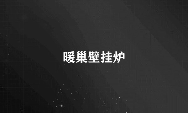 暖巢壁挂炉