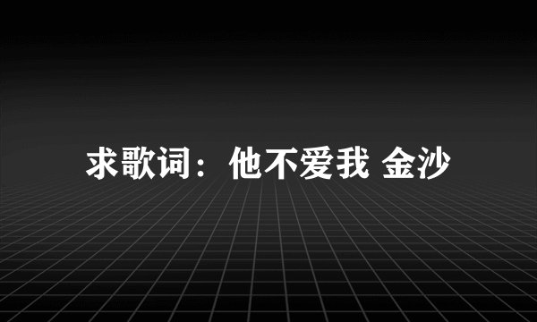 求歌词：他不爱我 金沙