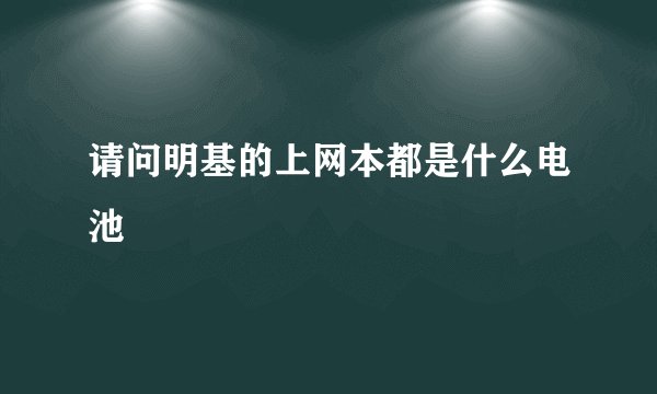 请问明基的上网本都是什么电池