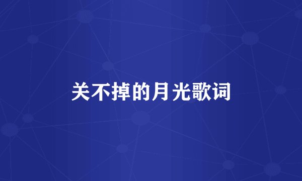 关不掉的月光歌词