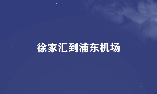 徐家汇到浦东机场