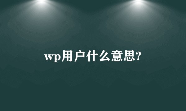 wp用户什么意思?