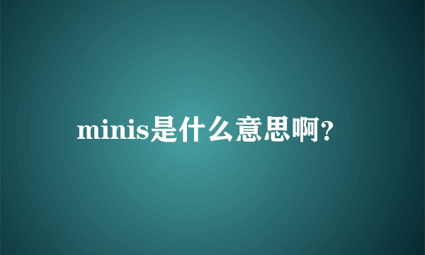 minis是什么意思啊？