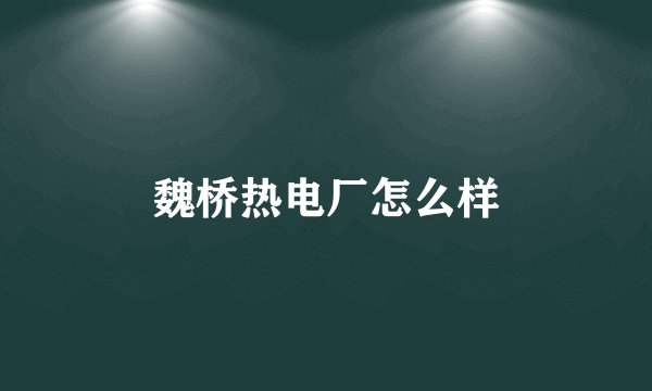 魏桥热电厂怎么样
