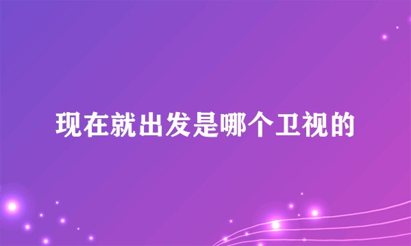 现在就出发是哪个卫视的
