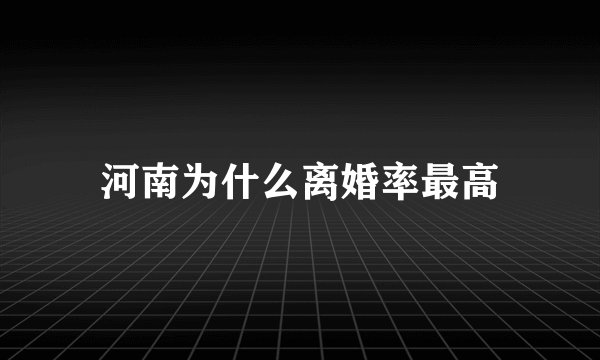 河南为什么离婚率最高