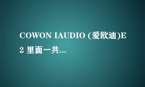 COWON IAUDIO (爱欧迪)E2 里面一共是十二种音效么?每种音效是什么意思?
