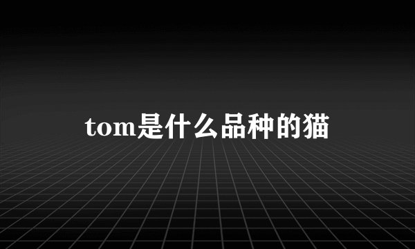 tom是什么品种的猫