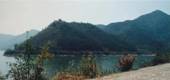 杭州司机水库沉尸案告破，现在凶手的身价过亿，他是怎么做到的？