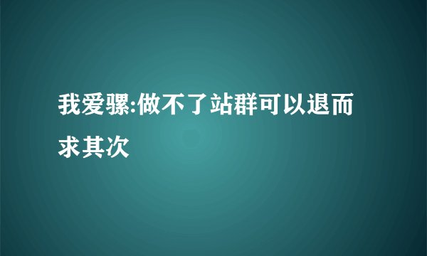 我爱骡:做不了站群可以退而求其次