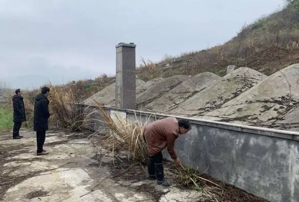 坟茔读音