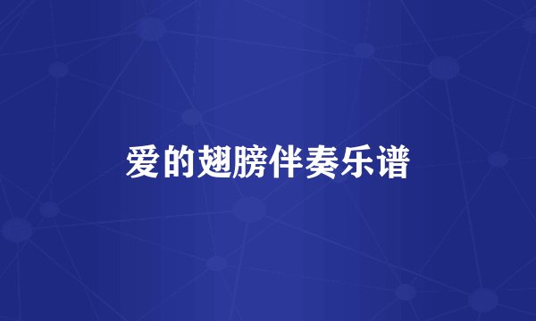 爱的翅膀伴奏乐谱