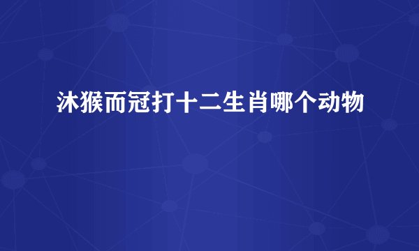 沐猴而冠打十二生肖哪个动物