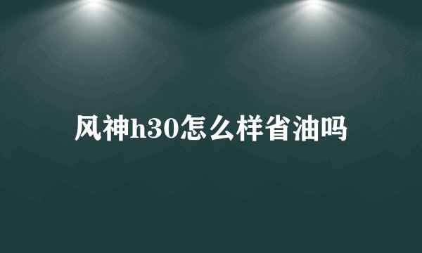 风神h30怎么样省油吗