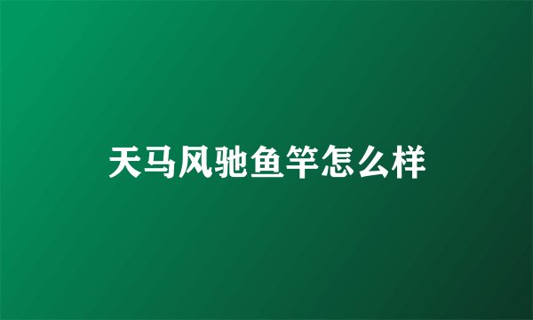 天马风驰鱼竿怎么样