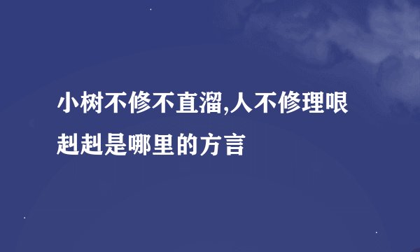 小树不修不直溜,人不修理哏赳赳是哪里的方言