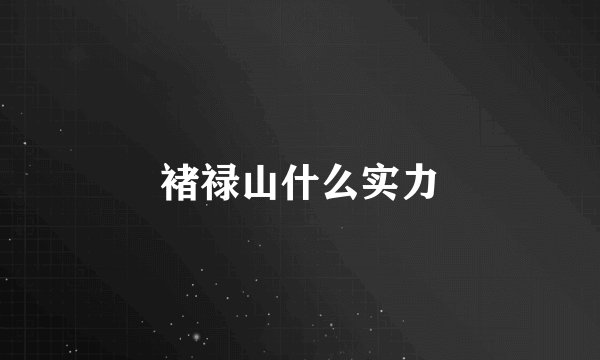褚禄山什么实力