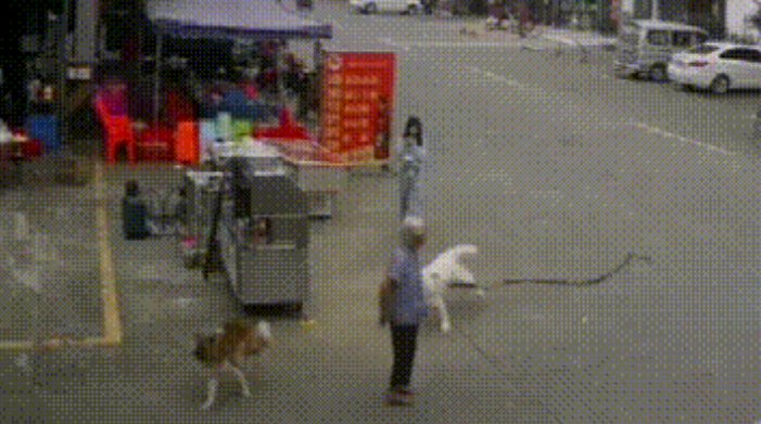遛狗绊死老人逃离现场的女孩,她本人是如何回应的?