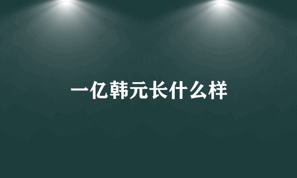 一亿韩元长什么样