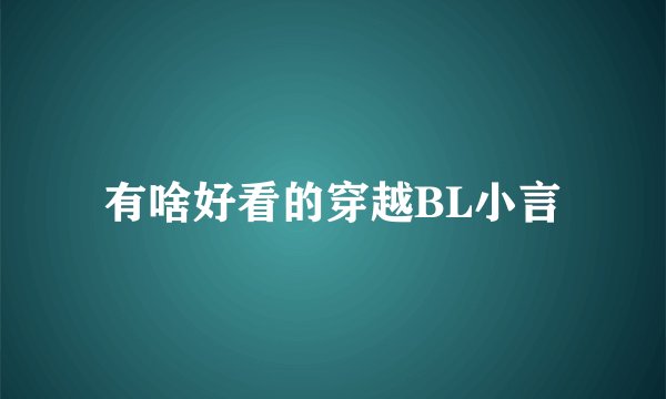 有啥好看的穿越BL小言
