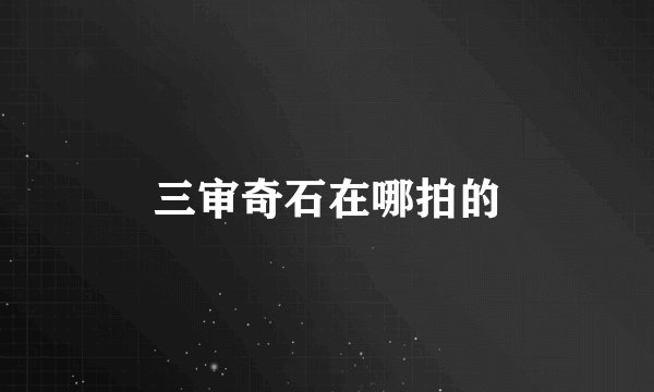 三审奇石在哪拍的