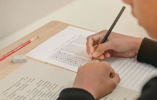 会计职称有哪些？