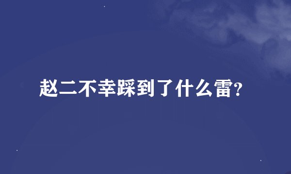 赵二不幸踩到了什么雷？