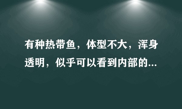 有种热带鱼，体型不大，浑身透明，似乎可以看到内部的骨骼，那叫什么鱼？