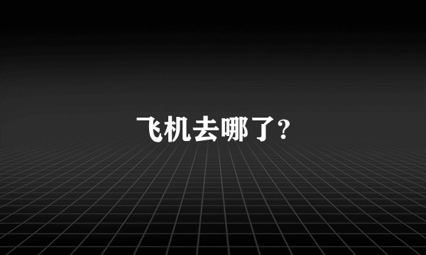 飞机去哪了?