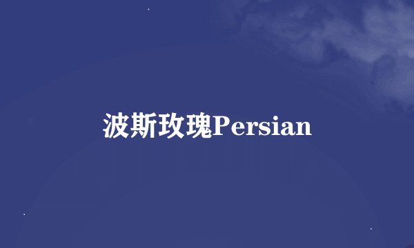 波斯玫瑰Persian