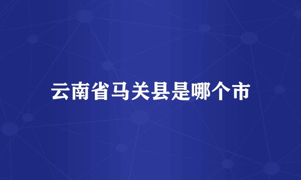 云南省马关县是哪个市