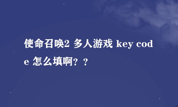 使命召唤2 多人游戏 key code 怎么填啊？？