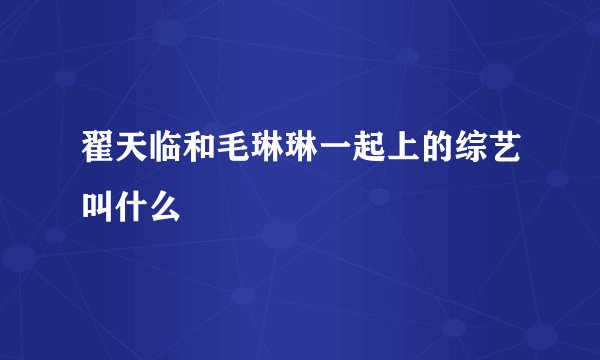 翟天临和毛琳琳一起上的综艺叫什么