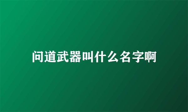 问道武器叫什么名字啊