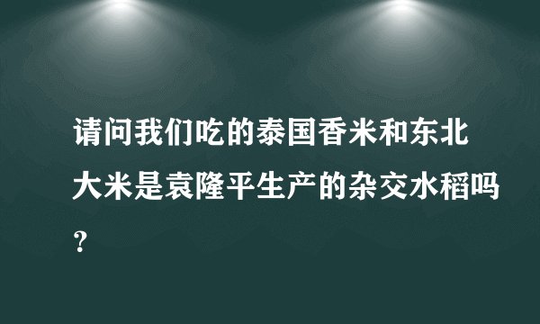 请问我们吃的泰国香米和东北大米是袁隆平生产的杂交水稻吗？