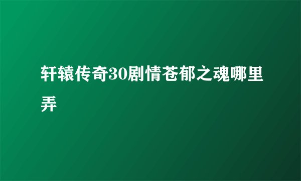 轩辕传奇30剧情苍郁之魂哪里弄