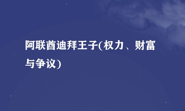 阿联酋迪拜王子(权力、财富与争议)