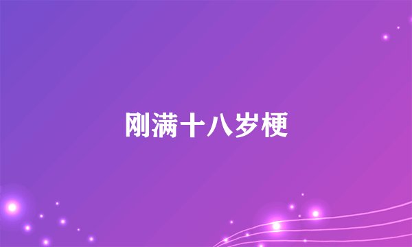 刚满十八岁梗