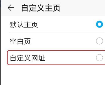 手机怎样设置自定义主页