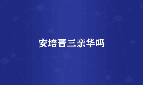 安培晋三亲华吗