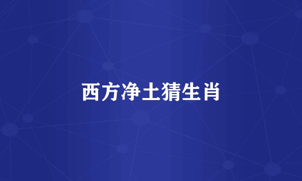 西方净土猜生肖