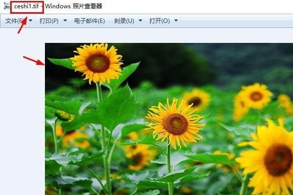 tif格式如何打开？