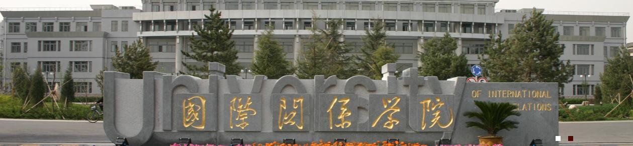 北大有国际关系学院吗